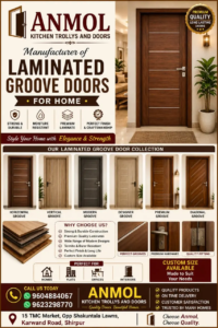 Anmol kitchen trollys and doors (1)