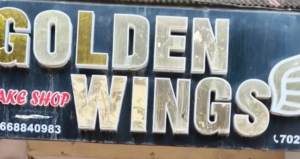 Golden Wings 1