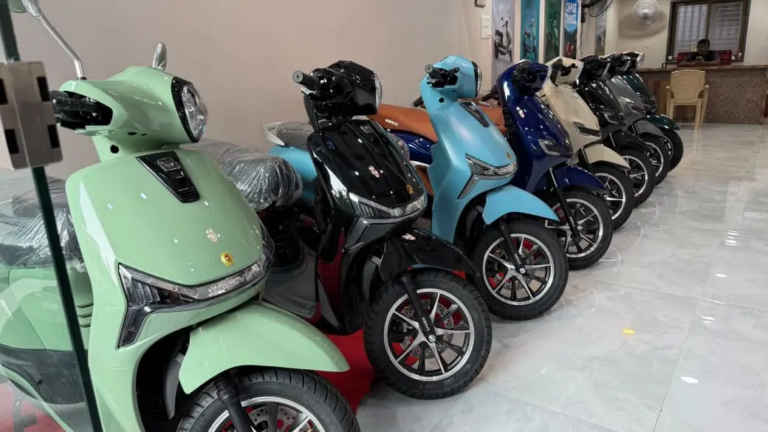 Warivo E Bike (5)
